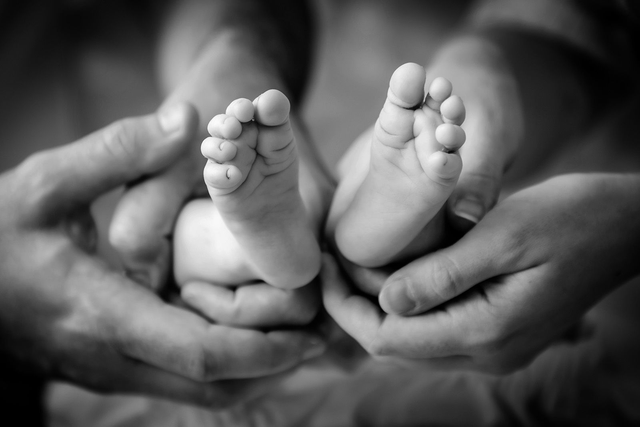  Family Outdoor or Studio indoor Photoshoot 