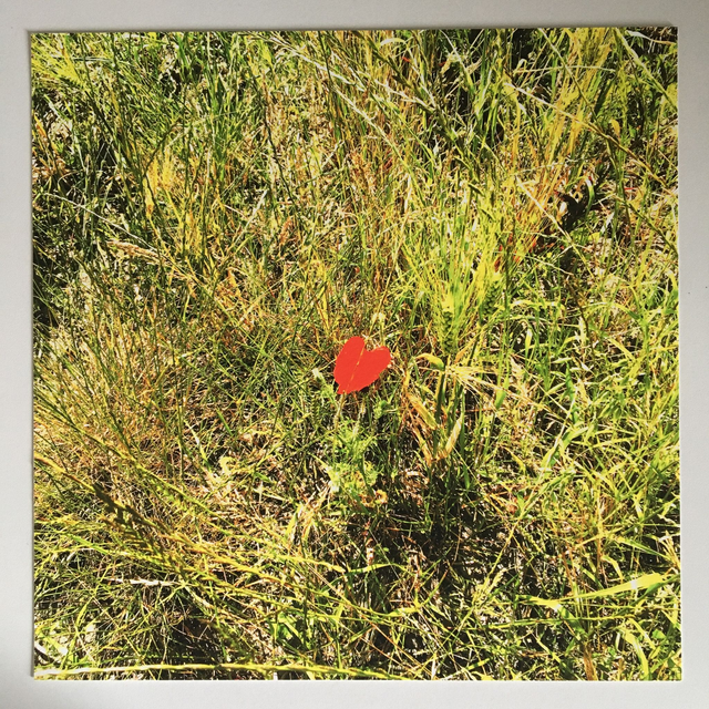 "Heart" - Tirage Photo FineArt (30x30 sans cadre)