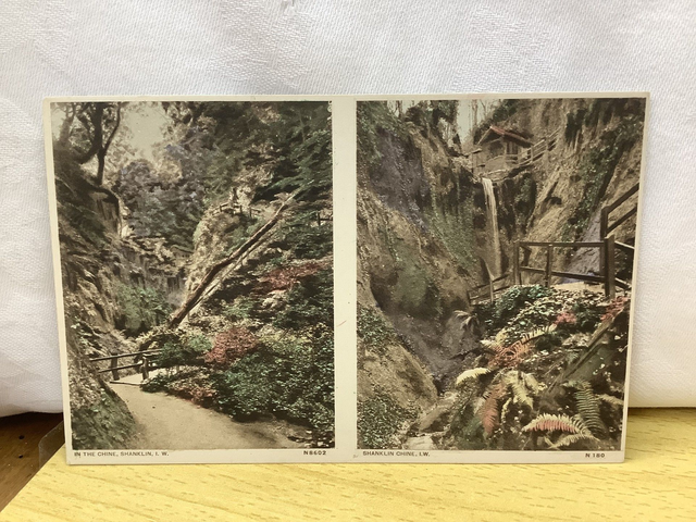 In The Chine, Shanklin, Isle of Wight., Shanklin Chine, Isle of Wight  W. J. Nigh vintage postcard. Our Ref No. R661 £2.50
