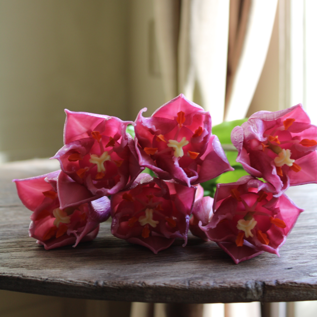 tulp exclusive purple