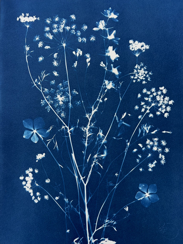 "Entre terre et ciel" Cyanotype original