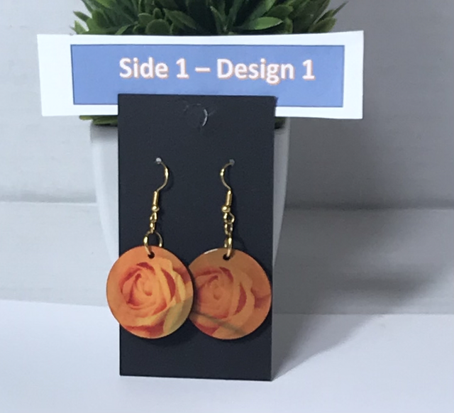 Two in One Mixed Colour Dangling Earrings- 2SD04