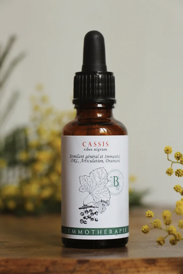 Cassis Gemmothérapie