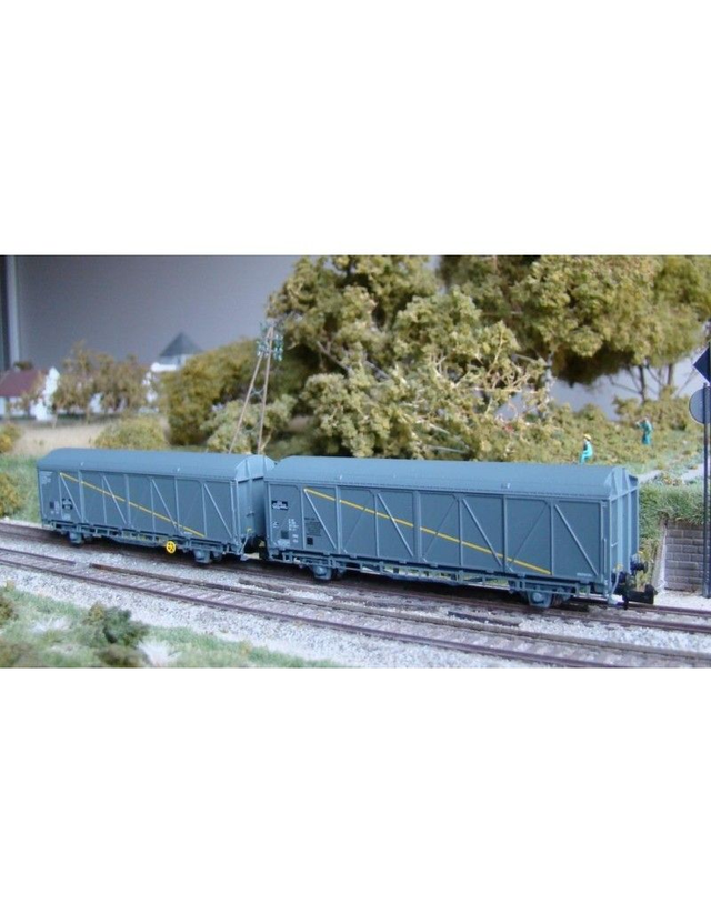 Coffret De 2 Wagons EVS trains160 16051 N