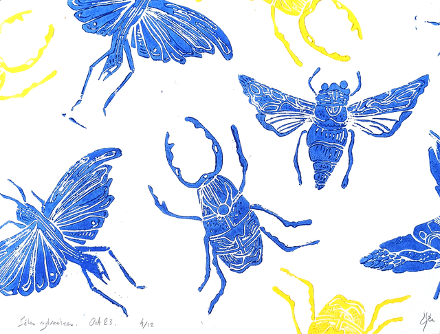 Bêtes sylvestres A5+ 4/12