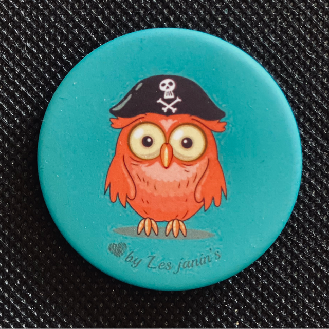 Badge Chouette Pirate