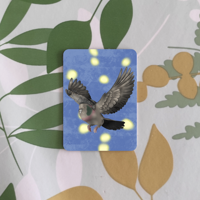 Oiseaux