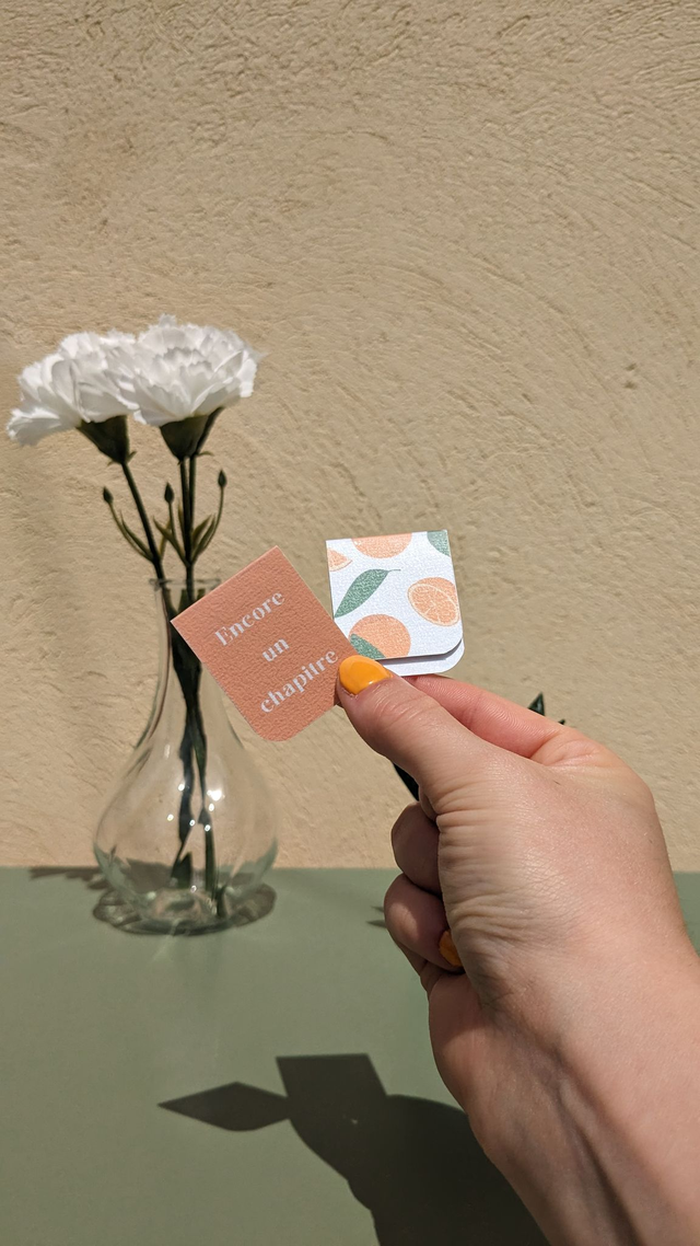 Marque-pages aimanté Chapitre Oranges