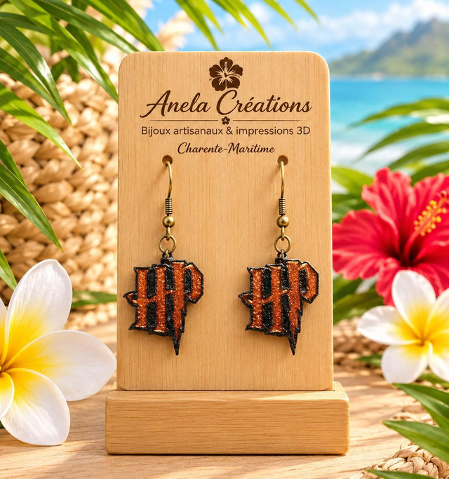Boucles d'oreilles HP