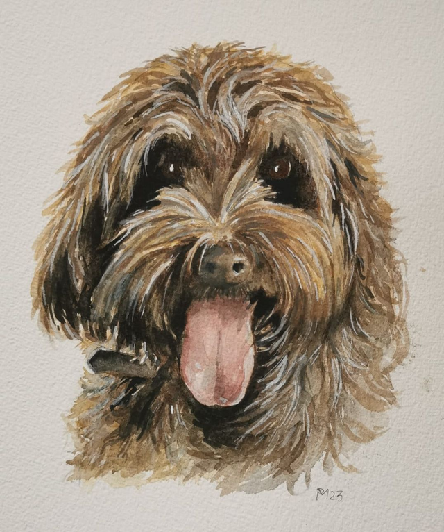 Watercolour Pet Portraits
