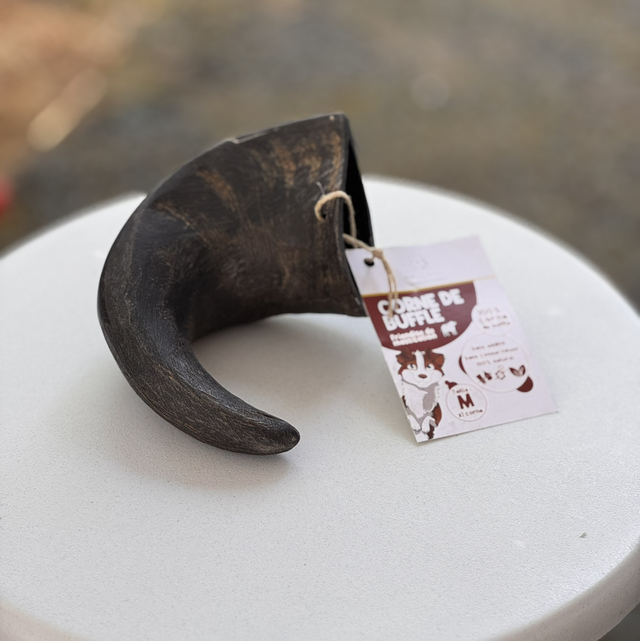 Corne de Buffle (Format : L) 