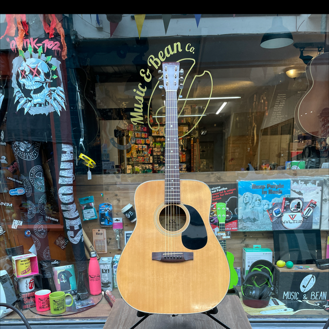 Westchester SDG1 Dreadnaught Acoustic - Pre Owned