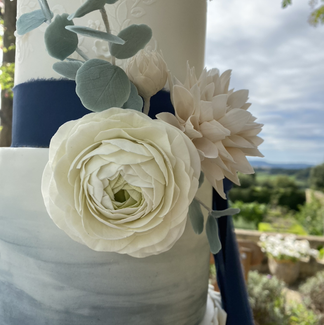 Online night school 5 - blue &amp; white