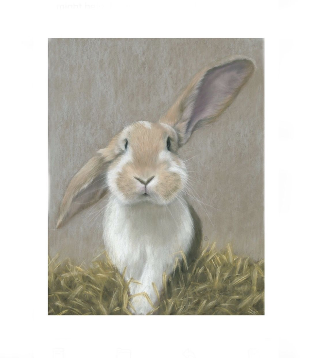 Print (small) 'DEX' (Konijnenparadijs)