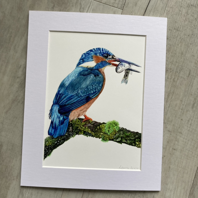 Kingfisher Fine Art Print