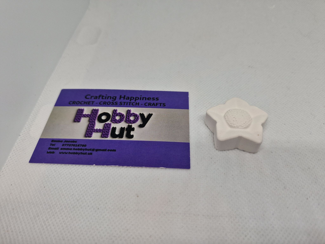 Paint-Your-Own Flower