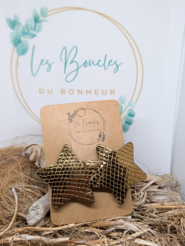 Barrette br67