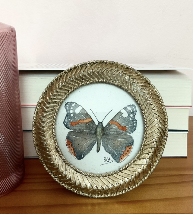Papillon « Vanessa Atalanta » dans son cadre miniature doré