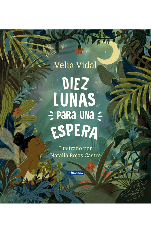 Diez lunas para una espera - Velia Vidal