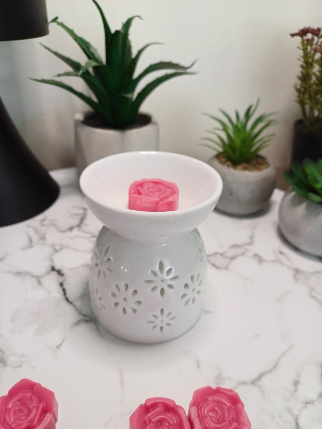 Brule parfum fondants parfumés 