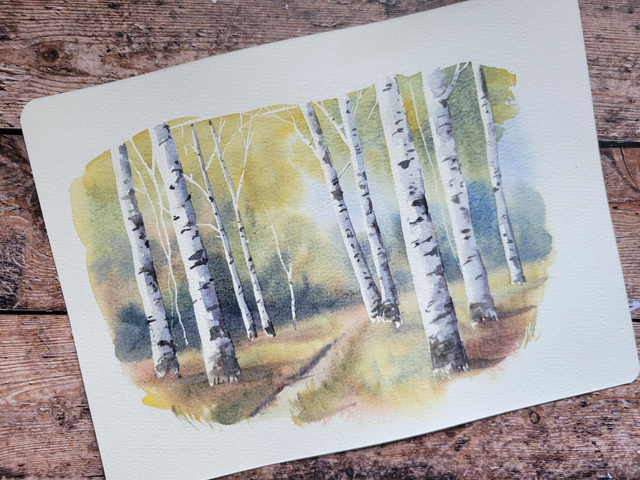 Forêt de bouleaux en automne