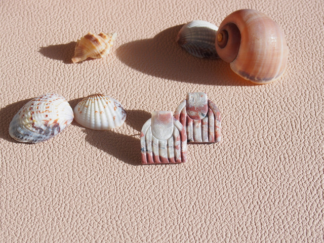 NACRE COQUILLE MARRON