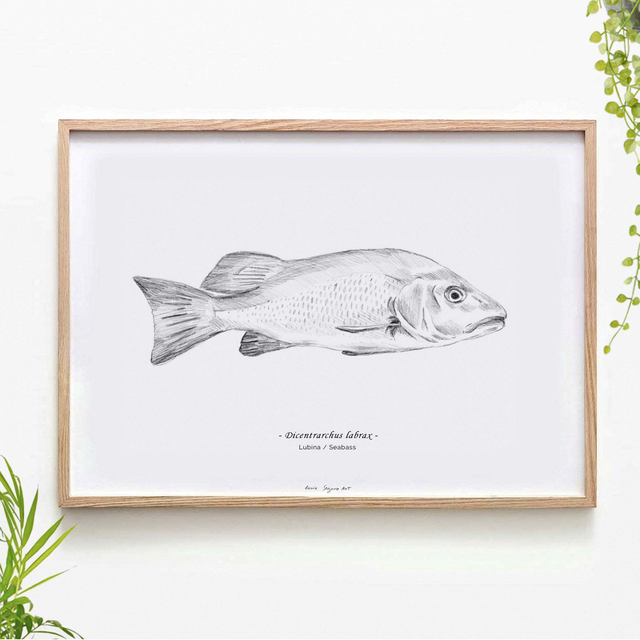 Pencil fish - Seabass