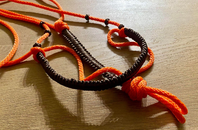 Licol ethologique orange/chocolat 