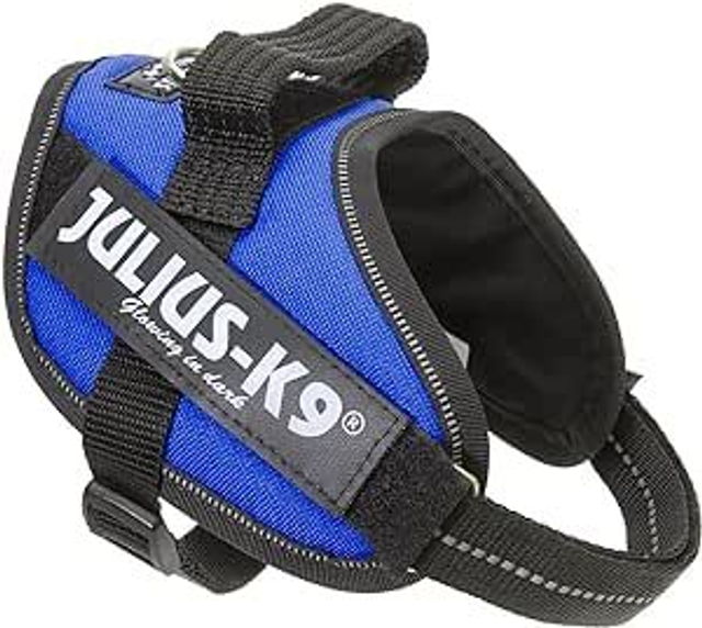 JULIUS-K9 powair harness Blue