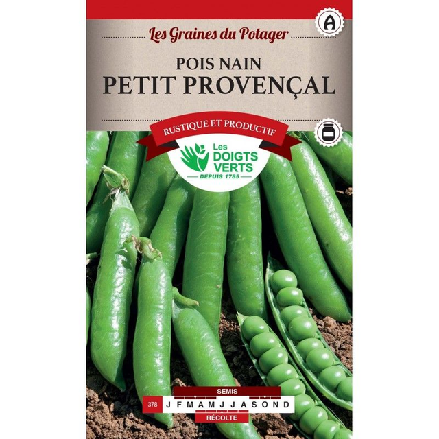 POIS NAIN PETIT PROVENCAL