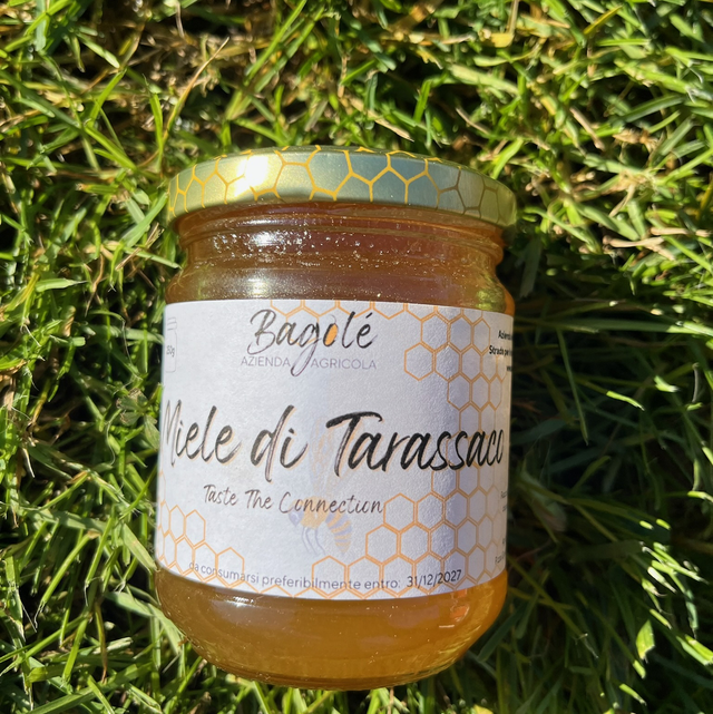 miele di tarassaco 500g 