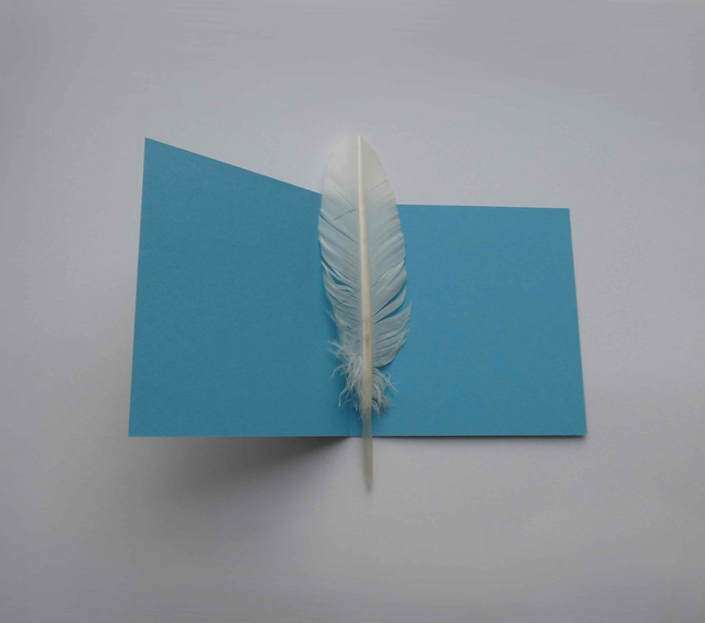 Les rouges-gorges de la bonne année