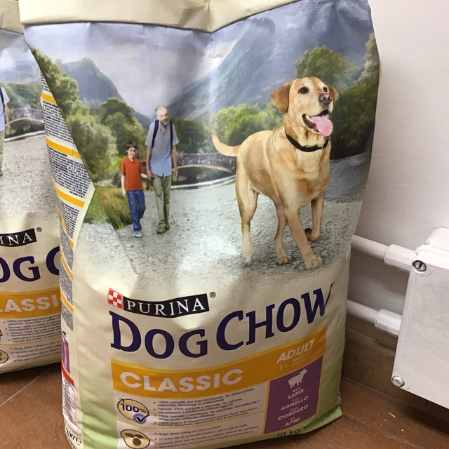 PURINA DOG CHOW ADULT 10KG AGNELLO