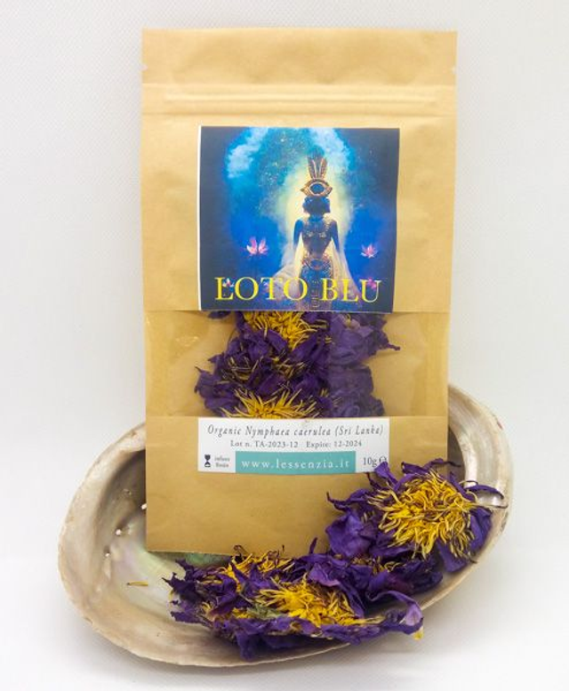 LOTO BLU (Nymphaea Caerulea) 12 fiori interi