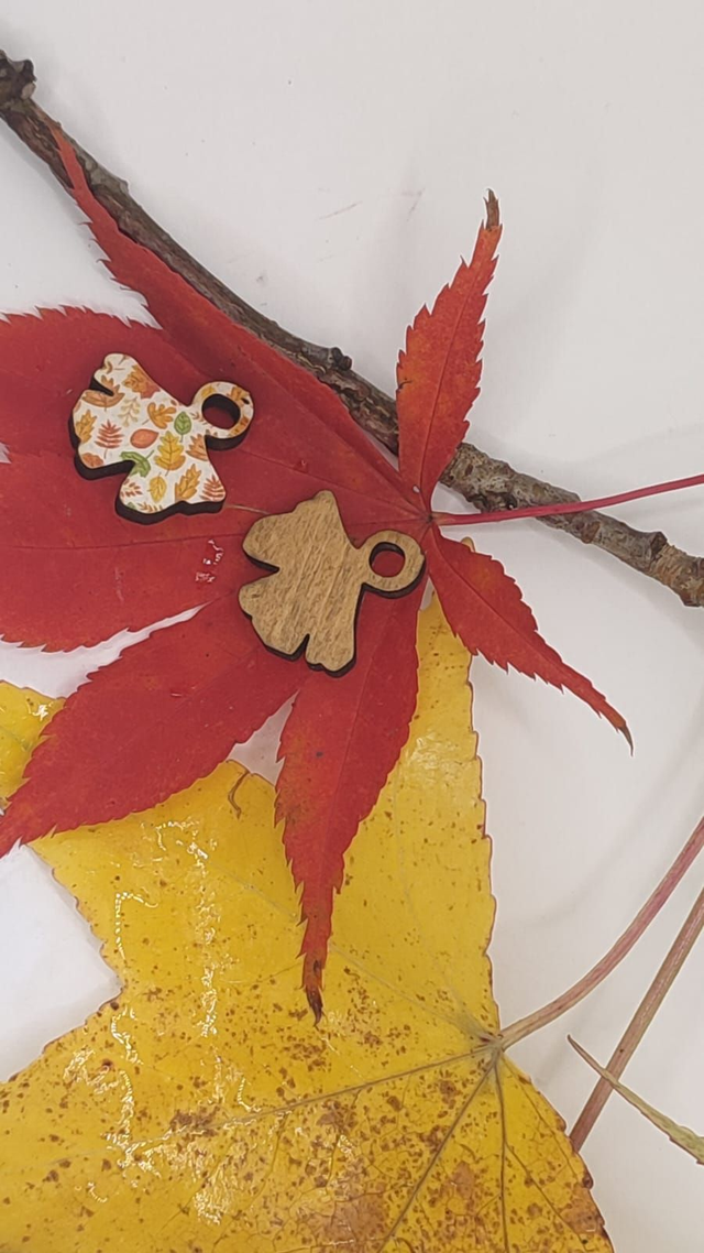 Boucles d' oreilles Gingko double-face interchangeables