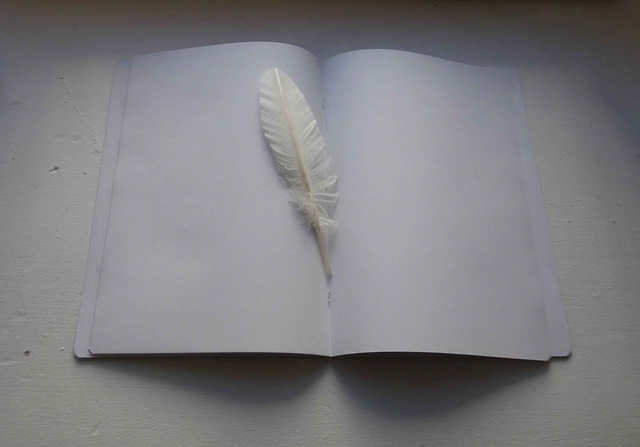 Le grand carnet de dessin des harfangs des neiges