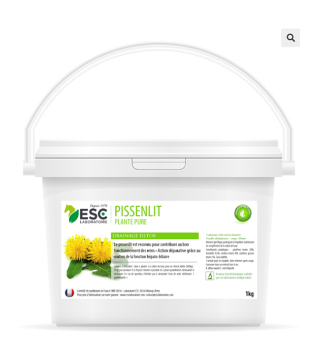PISSENLIT – Action dépurative et détox cheval – Plante pure