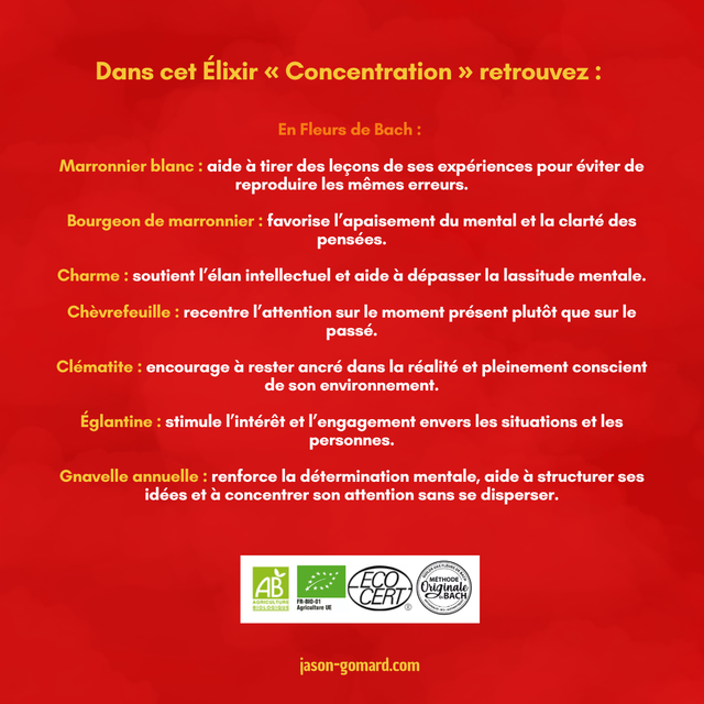 Élixir ~ Concentration