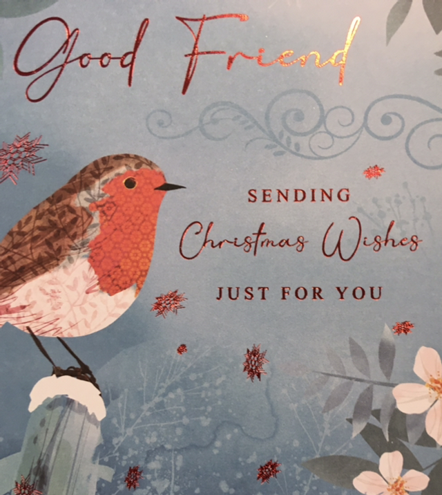 Christmas Friend Robin NQ