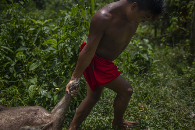 Victor Moriyama's "Wajãpi daily life II", 2019, Printed in 2021 ⅛ series