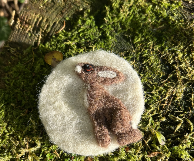 The Hare and the Moon