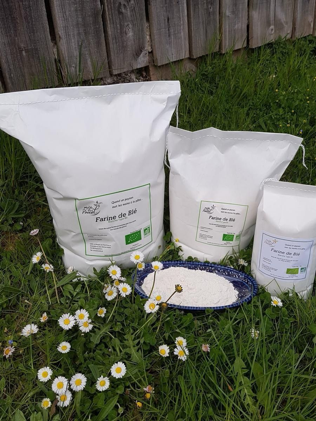 Farine bio de froment T80 (demi-complète)