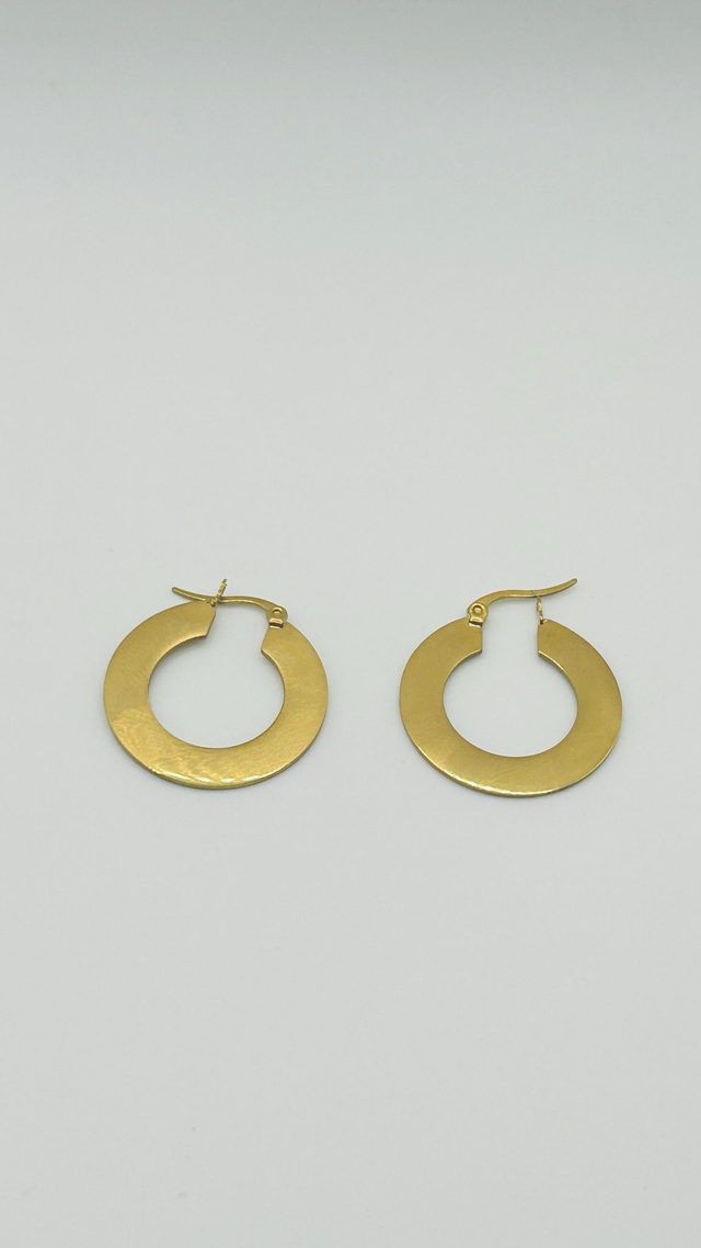 Stainless Steel Earrings (SSE27J)