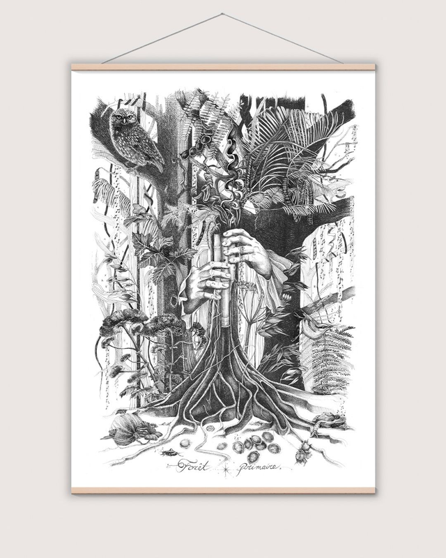 Forêt Primaire : Tirage d&#039;Art