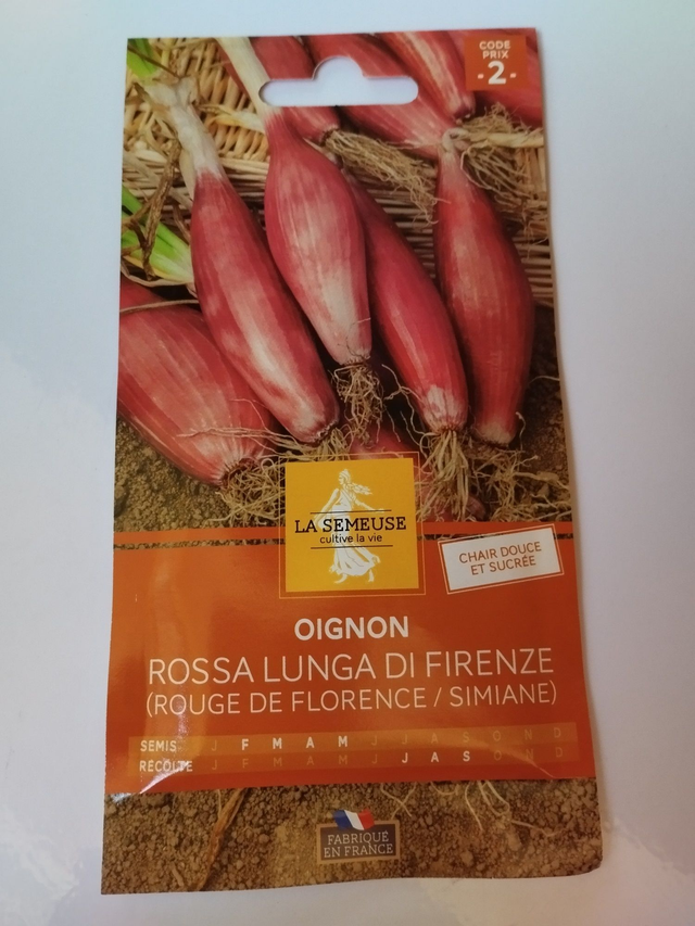 Oignon Rouge de florence