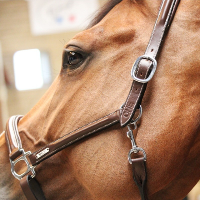 Licol de pansage JUMP'IN One