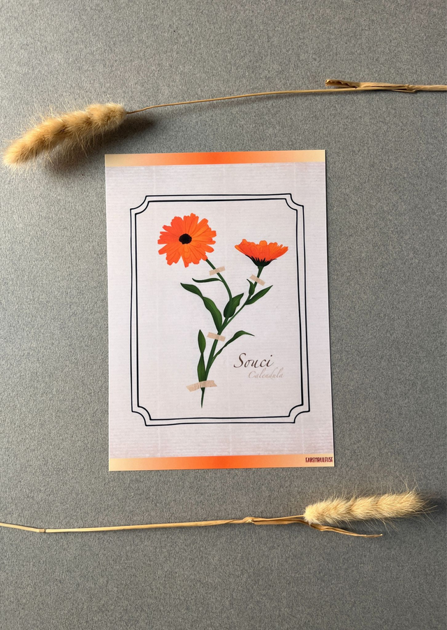 Affiche 10. Le Souci (octobre)