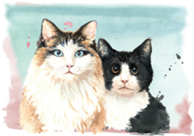 Hand made Cards - Cats