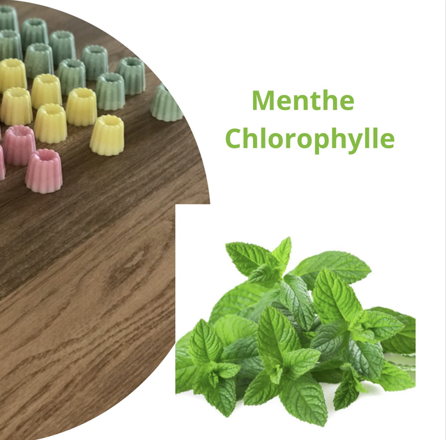 Menthe chlorophylle