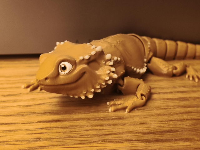 Zog the Bearded Dragon